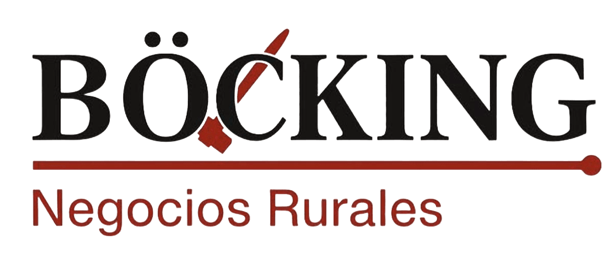 Bocking